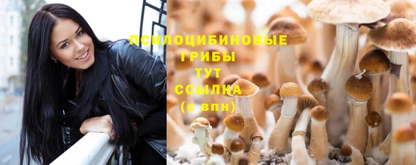 гашиш Козельск