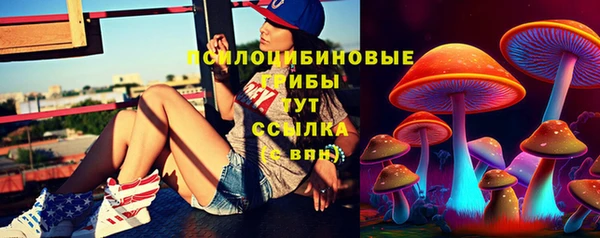 стаф Киров
