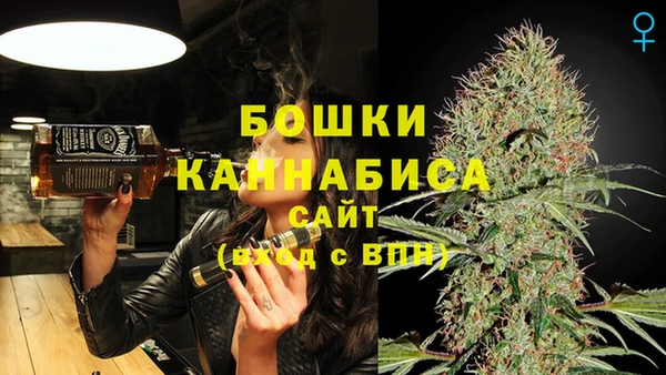 стаф Киров