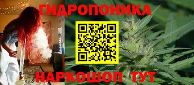 ГАЛЛЮЦИНОГЕННЫЕ ГРИБЫ Гусь-Хрустальный