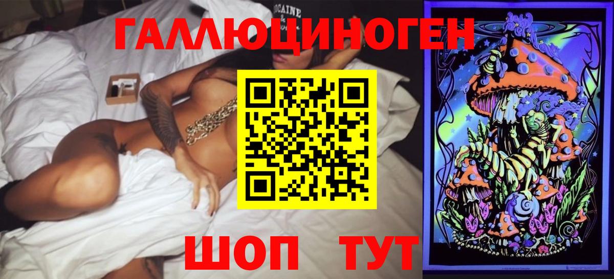 Псилоцибиновые грибы Cubensis Гулькевичи