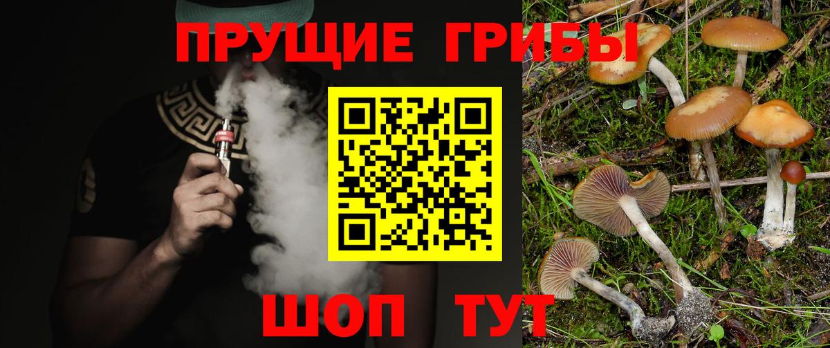 Псилоцибиновые грибы Cubensis  Вход с VPN  Гулькевичи 